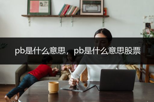 pb是什么意思，pb是什么意思股票